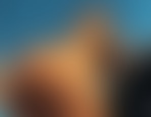 241_Sex_carside_with_views