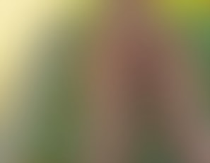 452_Creampie_at_sea_on_Amalfitan_Coast_Boat