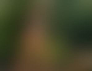 459_Flashing_and_Sucking_Cock_in_Nature