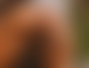 523_Creampie_Compilation_Vol_3